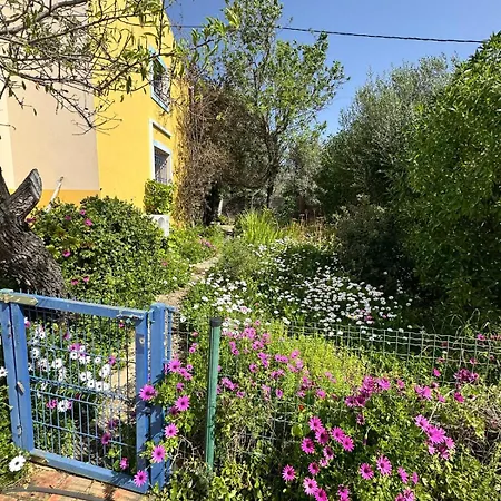 Casa Da Parreira Villa Loule